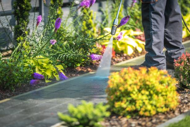 Best Pre-Holiday Cleaning  in Palmyra, NJ